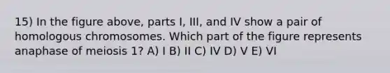 15) In the figure above, parts I, III, and IV show a pair of homologous chromosomes. Which part of the figure represents anaphase of meiosis 1? A) I B) II C) IV D) V E) VI