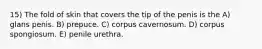 15) The fold of skin that covers the tip of the penis is the A) glans penis. B) prepuce. C) corpus cavernosum. D) corpus spongiosum. E) penile urethra.