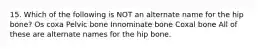 15. Which of the following is NOT an alternate name for the hip bone? Os coxa Pelvic bone Innominate bone Coxal bone All of these are alternate names for the hip bone.