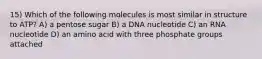 15) Which of the following molecules is most similar in structure to ATP? A) a pentose sugar B) a DNA nucleotide C) an RNA nucleotide D) an amino acid with three phosphate groups attached