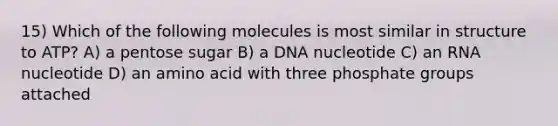 15) Which of the following molecules is most similar in structure to ATP? A) a pentose sugar B) a DNA nucleotide C) an RNA nucleotide D) an amino acid with three phosphate groups attached