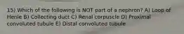 15) Which of the following is NOT part of a nephron? A) Loop of Henle B) Collecting duct C) Renal corpuscle D) Proximal convoluted tubule E) Distal convoluted tubule