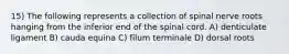 15) The following represents a collection of spinal nerve roots hanging from the inferior end of the spinal cord. A) denticulate ligament B) cauda equina C) filum terminale D) dorsal roots