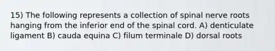 15) The following represents a collection of spinal nerve roots hanging from the inferior end of the spinal cord. A) denticulate ligament B) cauda equina C) filum terminale D) dorsal roots