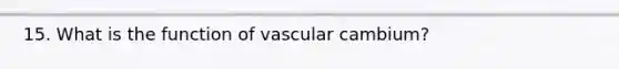 15. What is the function of vascular cambium?