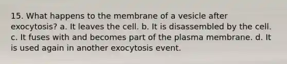 15. What happens to the membrane of a vesicle after exocytosis? a. It leaves the cell. b. It is disassembled by the cell. c. It fuses with and becomes part of the plasma membrane. d. It is used again in another exocytosis event.