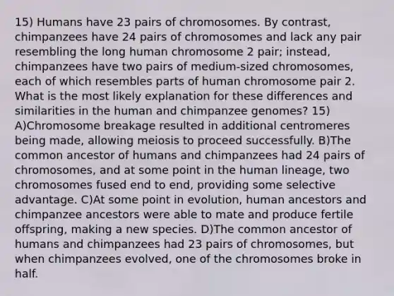 15) Humans have 23 pairs of chromosomes. By contrast, chimpanzees have 24 pairs of chromosomes and lack any pair resembling the long human chromosome 2 pair; instead, chimpanzees have two pairs of medium-sized chromosomes, each of which resembles parts of human chromosome pair 2. What is the most likely explanation for these differences and similarities in the human and chimpanzee genomes? 15) A)Chromosome breakage resulted in additional centromeres being made, allowing meiosis to proceed successfully. B)The common ancestor of humans and chimpanzees had 24 pairs of chromosomes, and at some point in the human lineage, two chromosomes fused end to end, providing some selective advantage. C)At some point in evolution, human ancestors and chimpanzee ancestors were able to mate and produce fertile offspring, making a new species. D)The common ancestor of humans and chimpanzees had 23 pairs of chromosomes, but when chimpanzees evolved, one of the chromosomes broke in half.