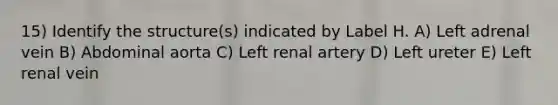 15) Identify the structure(s) indicated by Label H. A) Left adrenal vein B) Abdominal aorta C) Left renal artery D) Left ureter E) Left renal vein