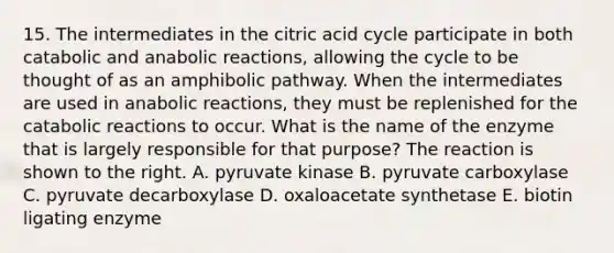 15. The intermediates in the citric acid cycle participate in both catabolic and anabolic reactions, allowing the cycle to be thought of as an amphibolic pathway. When the intermediates are used in anabolic reactions, they must be replenished for the catabolic reactions to occur. What is the name of the enzyme that is largely responsible for that purpose? The reaction is shown to the right. A. pyruvate kinase B. pyruvate carboxylase C. pyruvate decarboxylase D. oxaloacetate synthetase E. biotin ligating enzyme