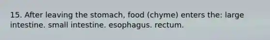 15. After leaving the stomach, food (chyme) enters the: large intestine. small intestine. esophagus. rectum.