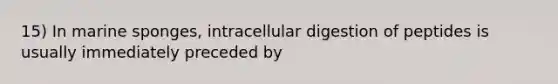 15) In marine sponges, intracellular digestion of peptides is usually immediately preceded by