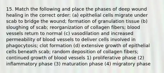 15. Match the following and place the phases of deep wound healing in the correct order: (a) epithelial cells migrate under scab to bridge the wound; formation of granulation tissue (b) sloughing of scab; reorganization of collagen fibers; <a href='https://www.questionai.com/knowledge/kZJ3mNKN7P-blood-vessels' class='anchor-knowledge'>blood vessels</a> return to normal (c) vasodilation and increased permeability of blood vessels to deliver cells involved in phagocytosis; clot formation (d) extensive growth of epithelial cells beneath scab; random deposition of collagen fibers; continued growth of blood vessels 1) proliferative phase (2) inflammatory phase (3) maturation phase (4) migratory phase