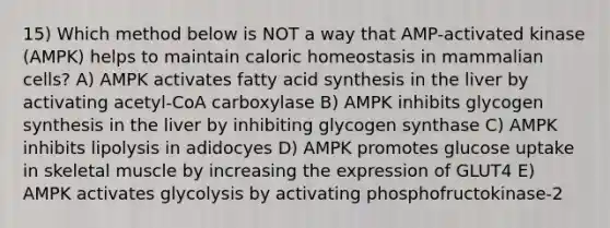 15) Which method below is NOT a way that AMP-activated kinase (AMPK) helps to maintain caloric homeostasis in mammalian cells? A) AMPK activates fatty acid synthesis in the liver by activating acetyl-CoA carboxylase B) AMPK inhibits glycogen synthesis in the liver by inhibiting glycogen synthase C) AMPK inhibits lipolysis in adidocyes D) AMPK promotes glucose uptake in skeletal muscle by increasing the expression of GLUT4 E) AMPK activates glycolysis by activating phosphofructokinase-2