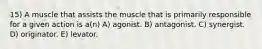 15) A muscle that assists the muscle that is primarily responsible for a given action is a(n) A) agonist. B) antagonist. C) synergist. D) originator. E) levator.