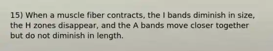 15) When a muscle fiber contracts, the I bands diminish in size, the H zones disappear, and the A bands move closer together but do not diminish in length.