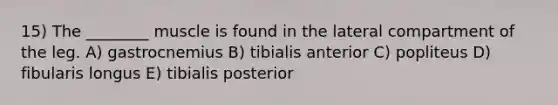 15) The ________ muscle is found in the lateral compartment of the leg. A) gastrocnemius B) tibialis anterior C) popliteus D) fibularis longus E) tibialis posterior