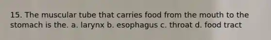 15. The muscular tube that carries food from the mouth to the stomach is the. a. larynx b. esophagus c. throat d. food tract