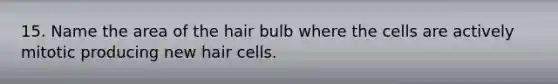 15. Name the area of the hair bulb where the cells are actively mitotic producing new hair cells.