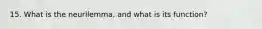 15. What is the neurilemma, and what is its function?