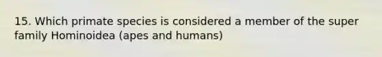 15. Which primate species is considered a member of the super family Hominoidea (apes and humans)