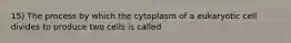 15) The process by which the cytoplasm of a eukaryotic cell divides to produce two cells is called