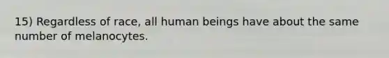 15) Regardless of race, all human beings have about the same number of melanocytes.