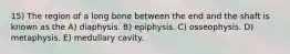 15) The region of a long bone between the end and the shaft is known as the A) diaphysis. B) epiphysis. C) osseophysis. D) metaphysis. E) medullary cavity.