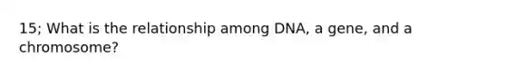 15; What is the relationship among DNA, a gene, and a chromosome?