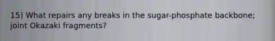 15) What repairs any breaks in the sugar-phosphate backbone; joint Okazaki fragments?