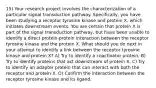 15) Your research project involves the characterization of a particular signal transduction pathway. Specifically, you have been studying a receptor tyrosine kinase and protein X, which initiates downstream events. You are certain that protein X is part of the signal transduction pathway, but have been unable to identify a direct protein-protein interaction between the receptor tyrosine kinase and the protein X. What should you do next in your attempt to identify a link between the receptor tyrosine kinase and protein X? A) Try to identify a coactivator protein. B) Try to identify proteins that act downstream of protein X. C) Try to identify an adapter protein that can interact with both the receptor and protein X. D) Confirm the interaction between the receptor tyrosine kinase and its ligand.