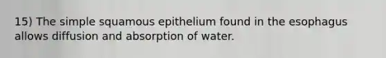 15) The simple squamous epithelium found in <a href='https://www.questionai.com/knowledge/kSjVhaa9qF-the-esophagus' class='anchor-knowledge'>the esophagus</a> allows diffusion and absorption of water.