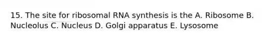 15. The site for ribosomal RNA synthesis is the A. Ribosome B. Nucleolus C. Nucleus D. Golgi apparatus E. Lysosome