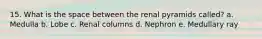 15. What is the space between the renal pyramids called? a. Medulla b. Lobe c. Renal columns d. Nephron e. Medullary ray