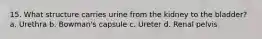 15. What structure carries urine from the kidney to the bladder? a. Urethra b. Bowman's capsule c. Ureter d. Renal pelvis