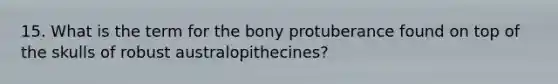 15. What is the term for the bony protuberance found on top of the skulls of robust australopithecines?