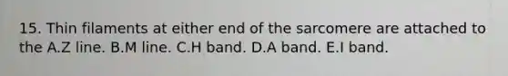 15. Thin filaments at either end of the sarcomere are attached to the A.Z line. B.M line. C.H band. D.A band. E.I band.