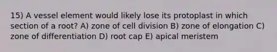 15) A vessel element would likely lose its protoplast in which section of a root? A) zone of <a href='https://www.questionai.com/knowledge/kjHVAH8Me4-cell-division' class='anchor-knowledge'>cell division</a> B) zone of elongation C) zone of differentiation D) root cap E) apical meristem