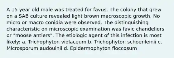 A 15 year old male was treated for favus. The colony that grew on a SAB culture revealed light brown macroscopic growth. No micro or macro conidia were observed. The distinguishing characteristic on microscopic examination was favic chandeliers or "moose antlers". The etiologic agent of this infection is most likely: a. Trichophyton violaceum b. Trichophyton schoenleinii c. Microsporum audouinii d. Epidermophyton floccosum