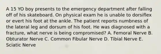 A 15 YO boy presents to the emergency department after falling off of his skateboard. On physical exam he is unable to dorsiflex or evert his foot at the ankle. The patient reports numbness of the lateral leg and dorsum of his foot. He was diagnosed with a fracture, what nerve is being compromised? A. Femoral Nerve B. Obturator Nerve C. Common Fibular Nerve D. Tibial Nerve E. Sciatic Nerve