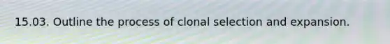 15.03. Outline the process of clonal selection and expansion.