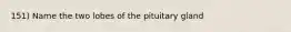 151) Name the two lobes of the pituitary gland