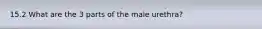 15.2 What are the 3 parts of the male urethra?