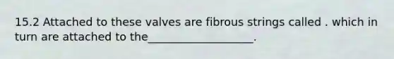 15.2 Attached to these valves are fibrous strings called . which in turn are attached to the___________________.