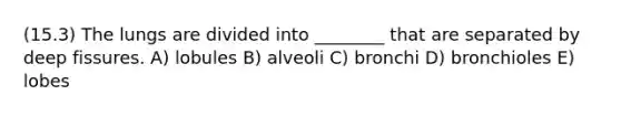 (15.3) The lungs are divided into ________ that are separated by deep fissures. A) lobules B) alveoli C) bronchi D) bronchioles E) lobes