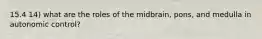 15.4 14) what are the roles of the midbrain, pons, and medulla in autonomic control?