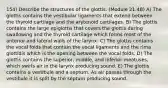 154) Describe the structures of the glottis. (Module 21.4B) A) The glottis contains the vestibular ligaments that extend between the thyroid cartilage and the arytenoid cartilages. B) The glottis contains the large epiglottis that covers the glottis during swallowing and the thyroid cartilage which forms most of the anterior and lateral walls of the larynx. C) The glottis contains the vocal folds that contain the vocal ligaments and the rima glottidis which is the opening between the vocal folds. D) The glottis contains the superior, middle, and inferior meatuses, which swirls air in the larynx producing sound. E) The glottis contains a vestibule and a septum. As air passes through the vestibule it is split by the septum producing sound.