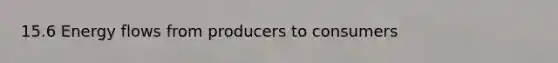 15.6 Energy flows from producers to consumers