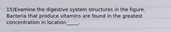 15)Examine the digestive system structures in the figure. Bacteria that produce vitamins are found in the greatest concentration in location_____.