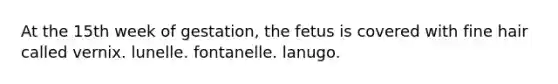 At the 15th week of gestation, the fetus is covered with fine hair called vernix. lunelle. fontanelle. lanugo.