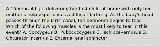 A 15-year-old girl delivering her first child at home with only her mother's help experiences a difficult birthing. As the baby's head passes through the birth canal, the perineum begins to tear. Which of the following muscles is the most likely to tear in this event? A. Coccygeus B. Pubococcygeus C. Ischiocavernosus D. Obturator internus E. External anal sphincter